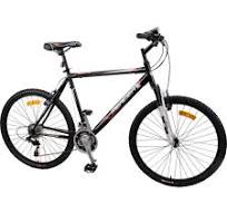 vtt mercier
