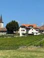 lavigny