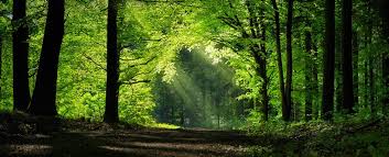 natures