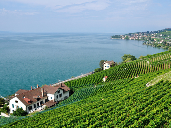 vaud