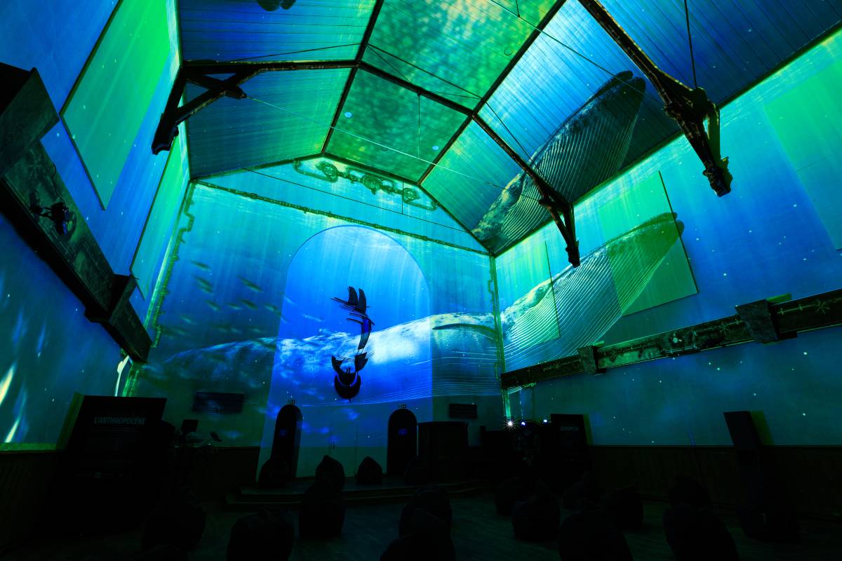 le zoo geneve