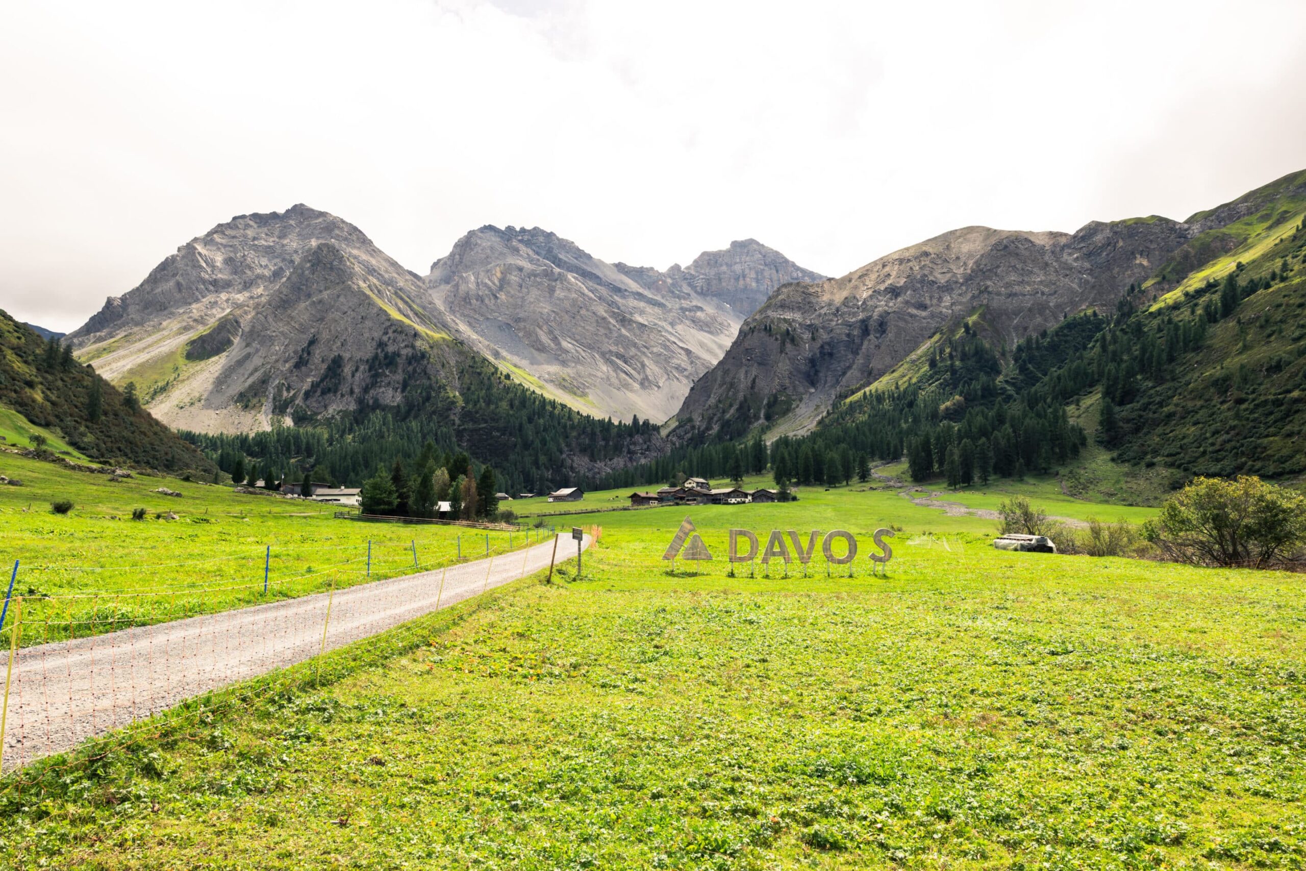 les grisons
