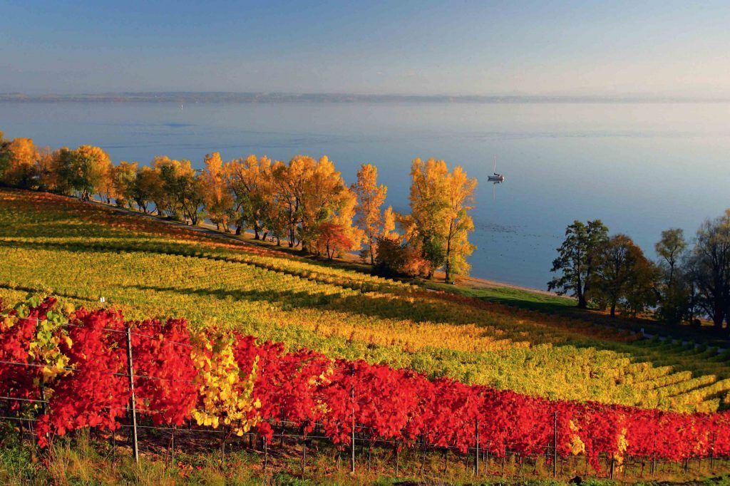 randonnee neuchatel